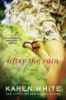 After_the_rain
