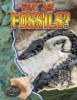 What_are_fossils_