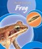 The_life_cycle_of_a_frog
