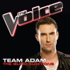 Team_Adam_____The_Blind_Auditions