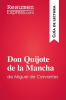 Don_Quijote_de_la_Mancha_de_Miguel_de_Cervantes__Gu__a_de_lectura_