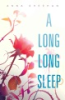 A_long__long_sleep