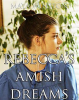 Rebecca_s_Amish_Dreams