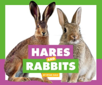 Hares_and_rabbits