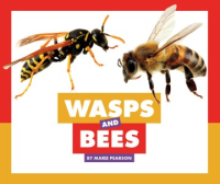 Wasps_and_bees