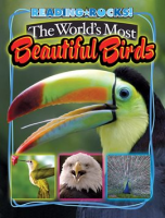 The_World_s_Most_Beautiful_Birds