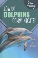 How_do_dolphins_communicate_