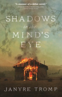 Shadows_in_the_mind_s_eye
