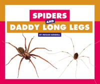 Spiders_and_daddy_long_legs