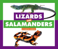 Lizards_and_salamanders