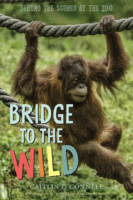 Bridge_to_the_wild