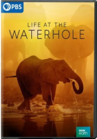 Life_at_the_waterhole